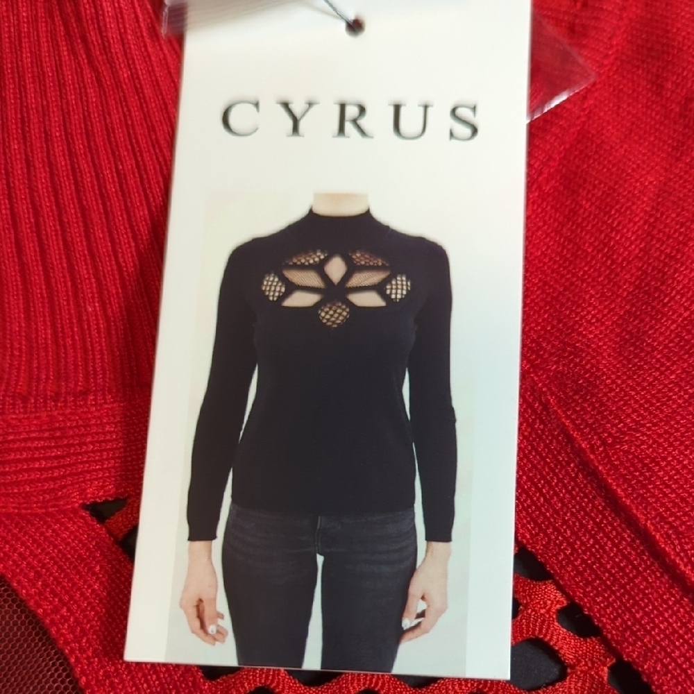 Cyrus Vibrant Red Knit Top with Mesh Accents - Picture 6 of 14